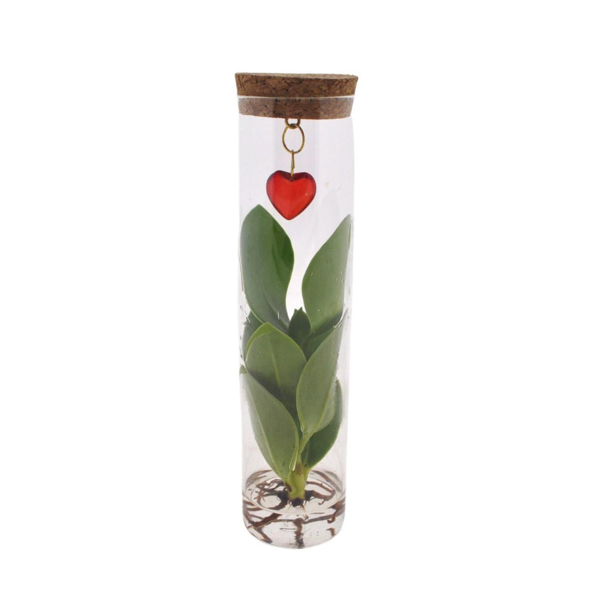 Mix In Tube Glas + Jewel (hartje) - Forestbloom