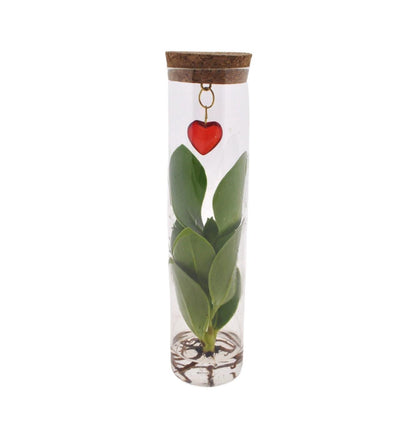 Mix In Tube Glas + Jewel (hartje) - Forestbloom