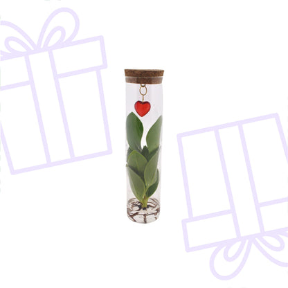 Mix In Tube Glas + Jewel (hartje) - Forestbloom