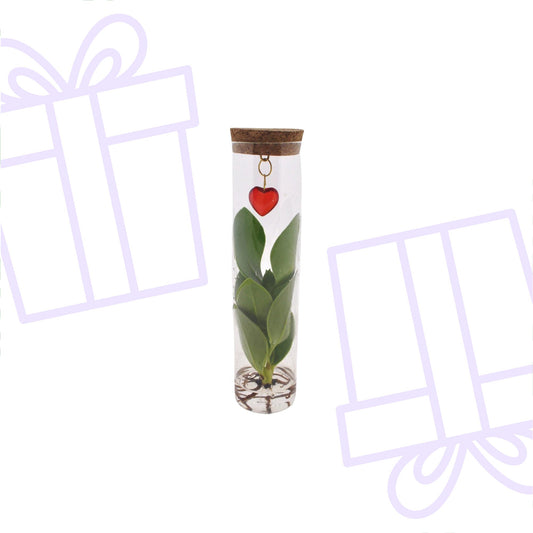 Mix In Tube Glas + Jewel (hartje) - Forestbloom