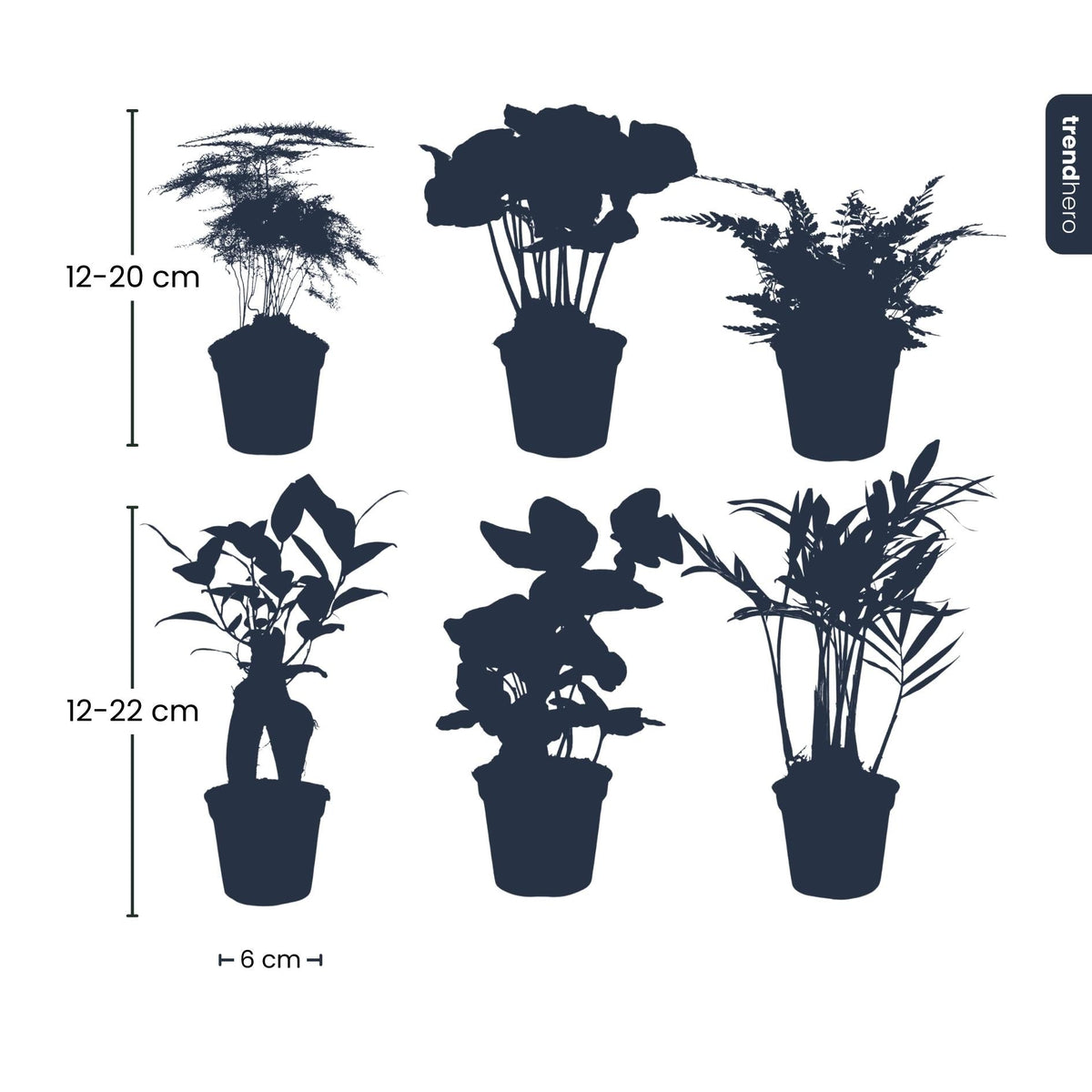 Planten set van 6 groene planten - Forestbloom
