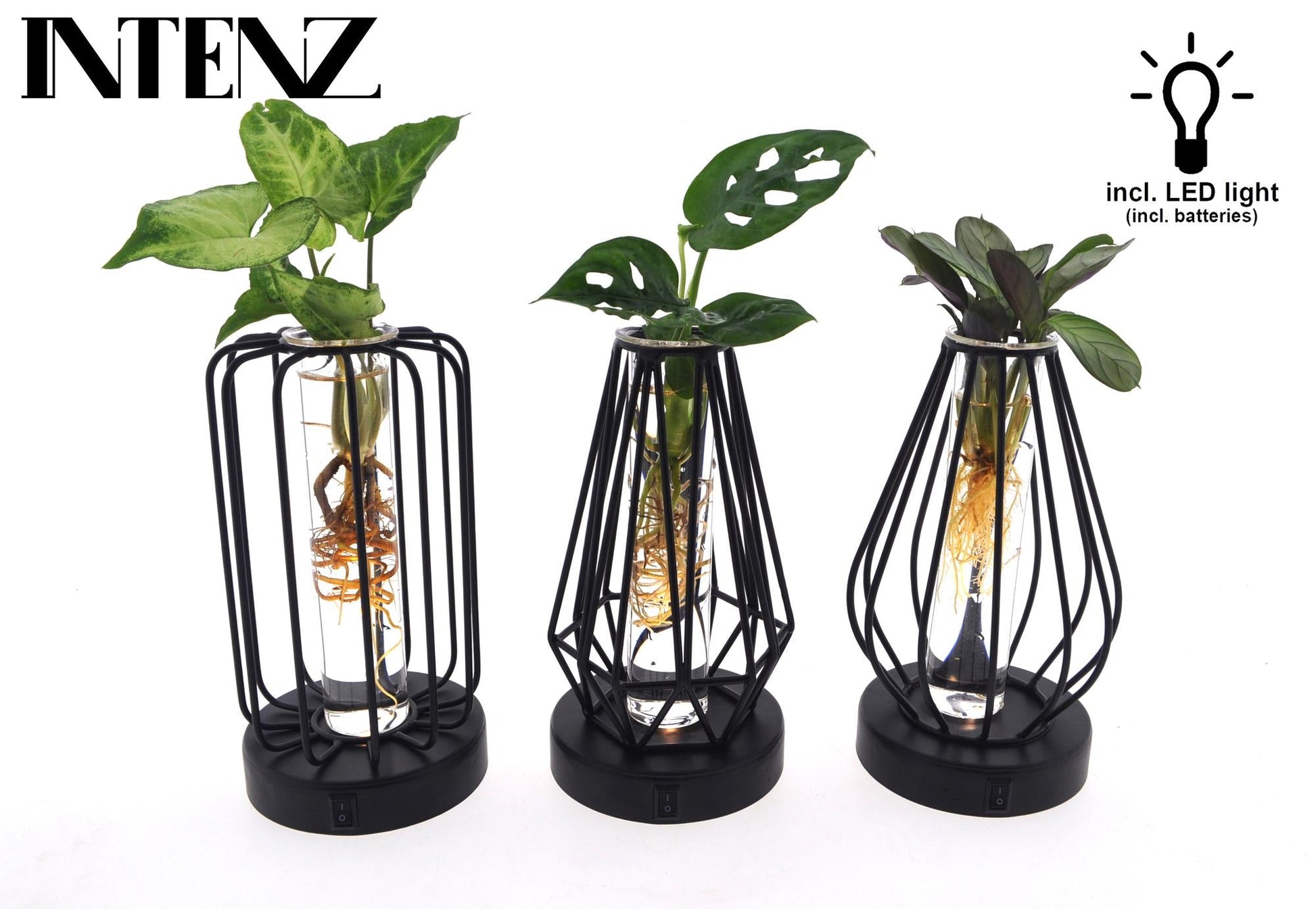 Plantenmix in Turijn Glas + Led - set van 3 - Forestbloom