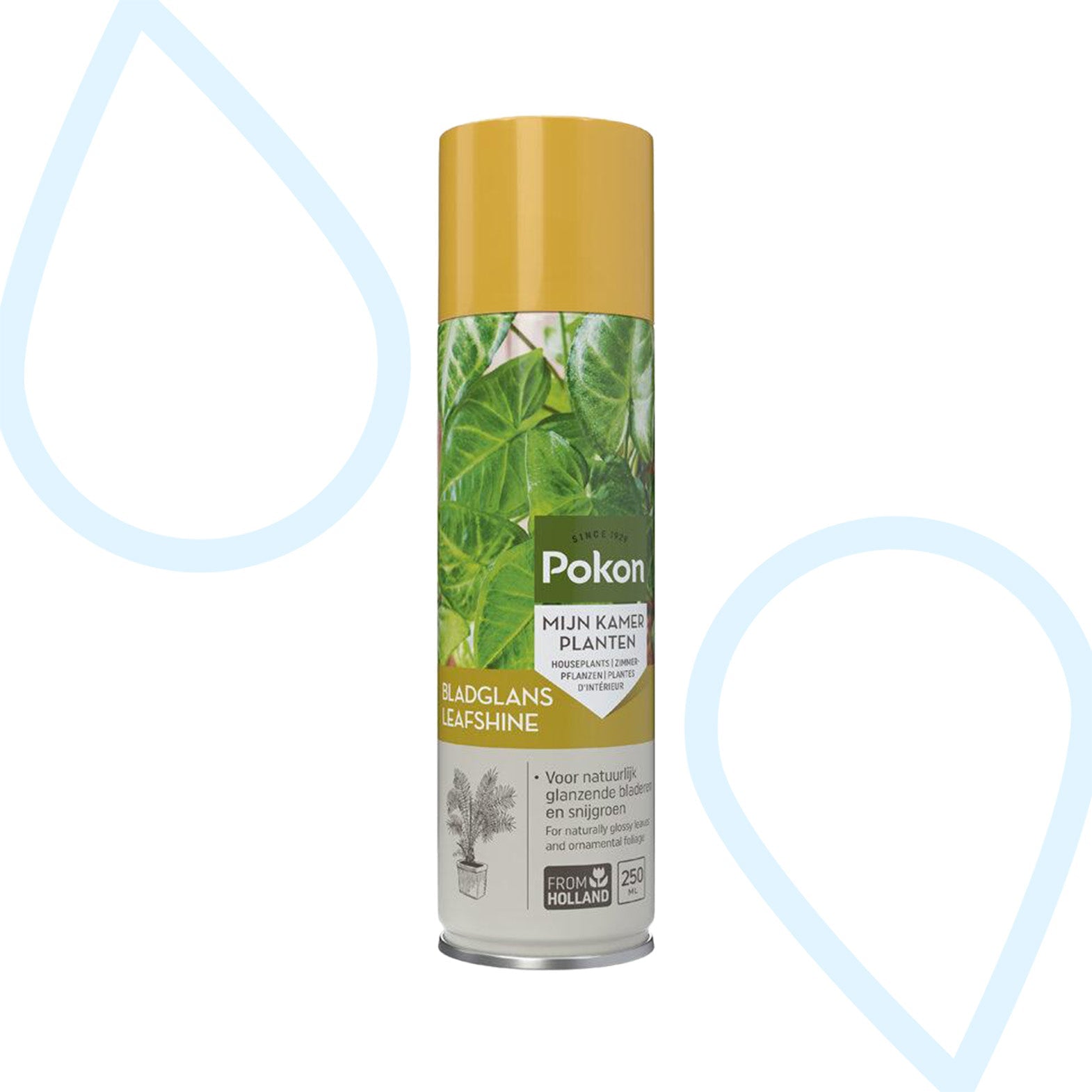 Pokon Bladglans 250 ml - Forestbloom