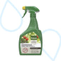 Pokon Hardnekkige Insectenspray 750 ml - Forestbloom