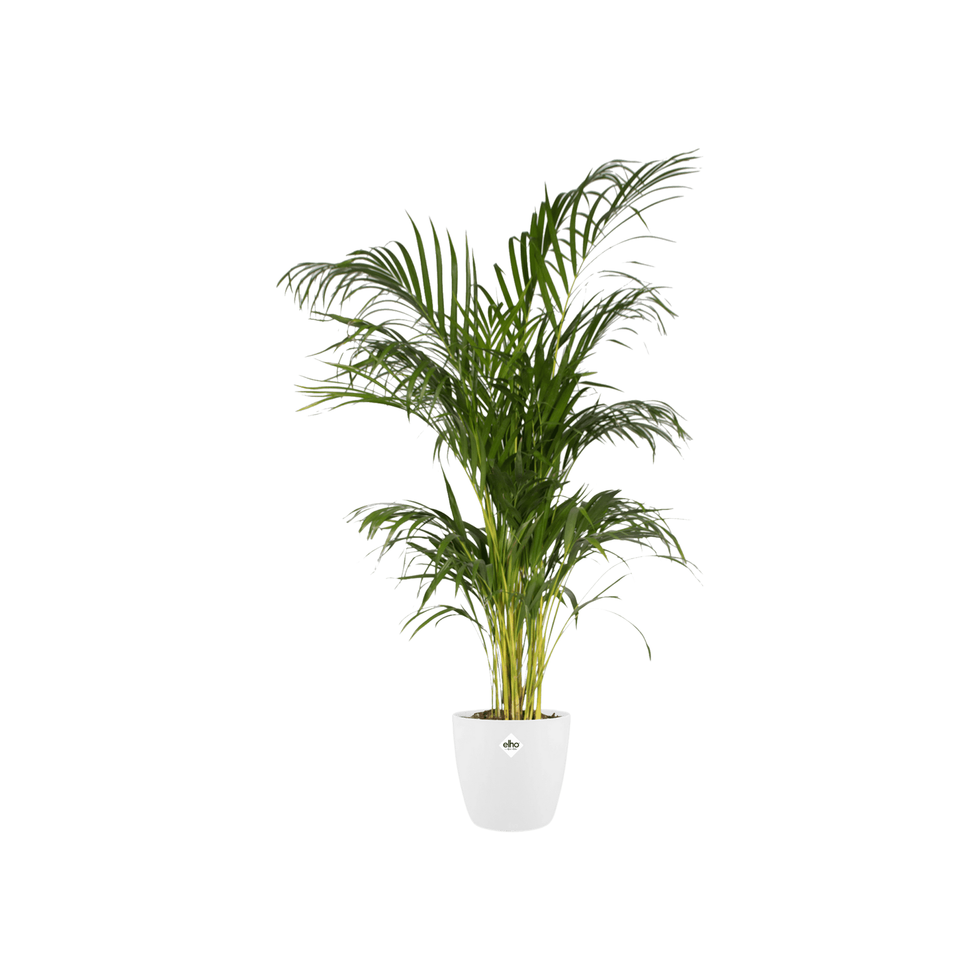 Pot elho Brussels Round Wit D30 x H27 - Forestbloom
