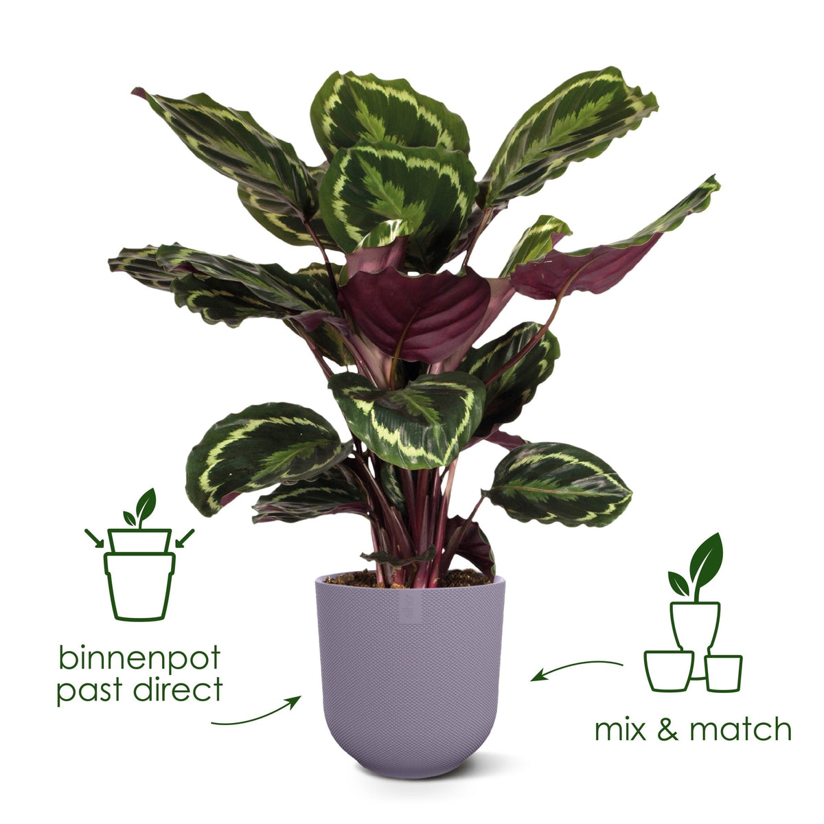 Pot elho Jazz Round tuscan red - D14 x H13 - Forestbloom