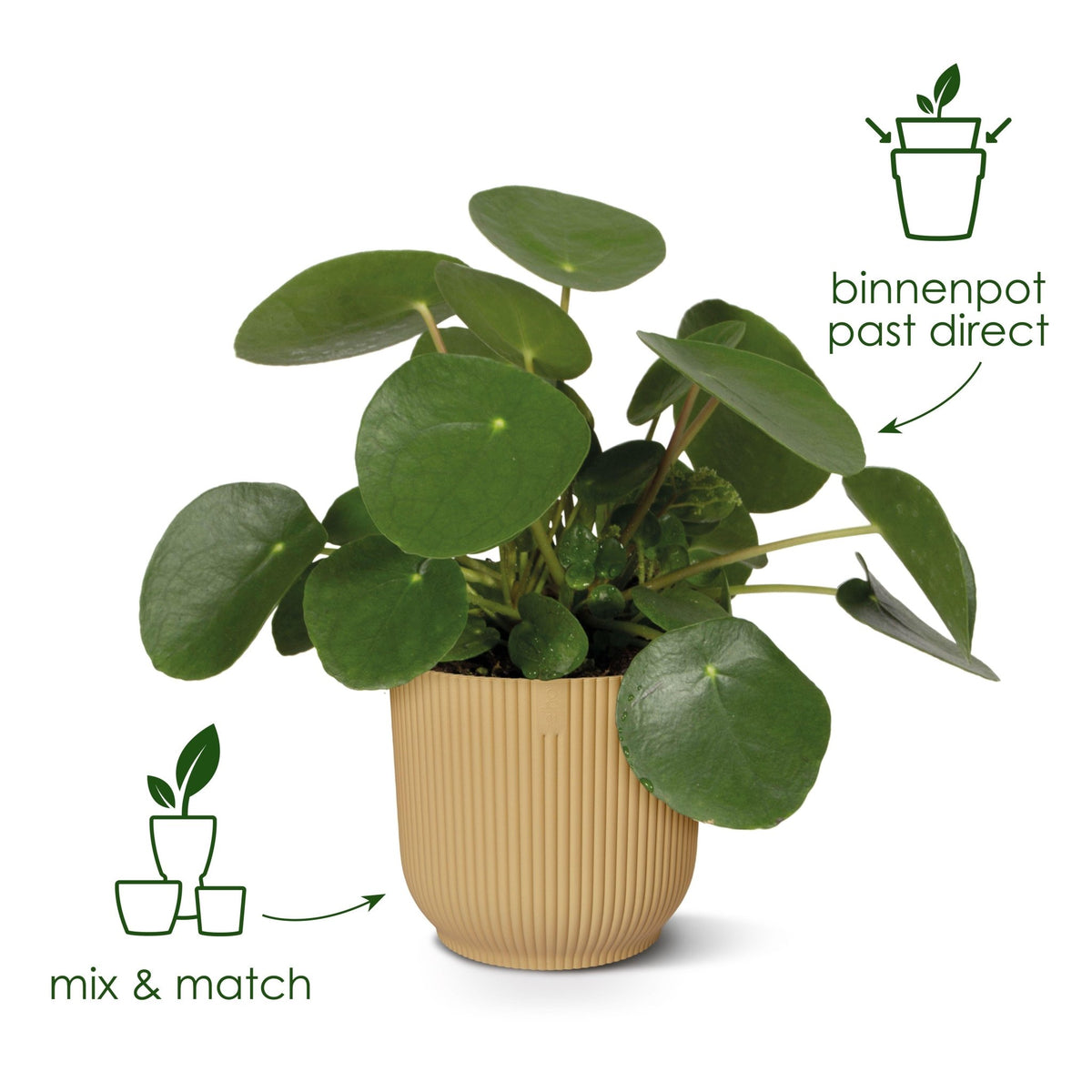 Pot elho Vibes Fold Round wit - D25 x H23 - Forestbloom