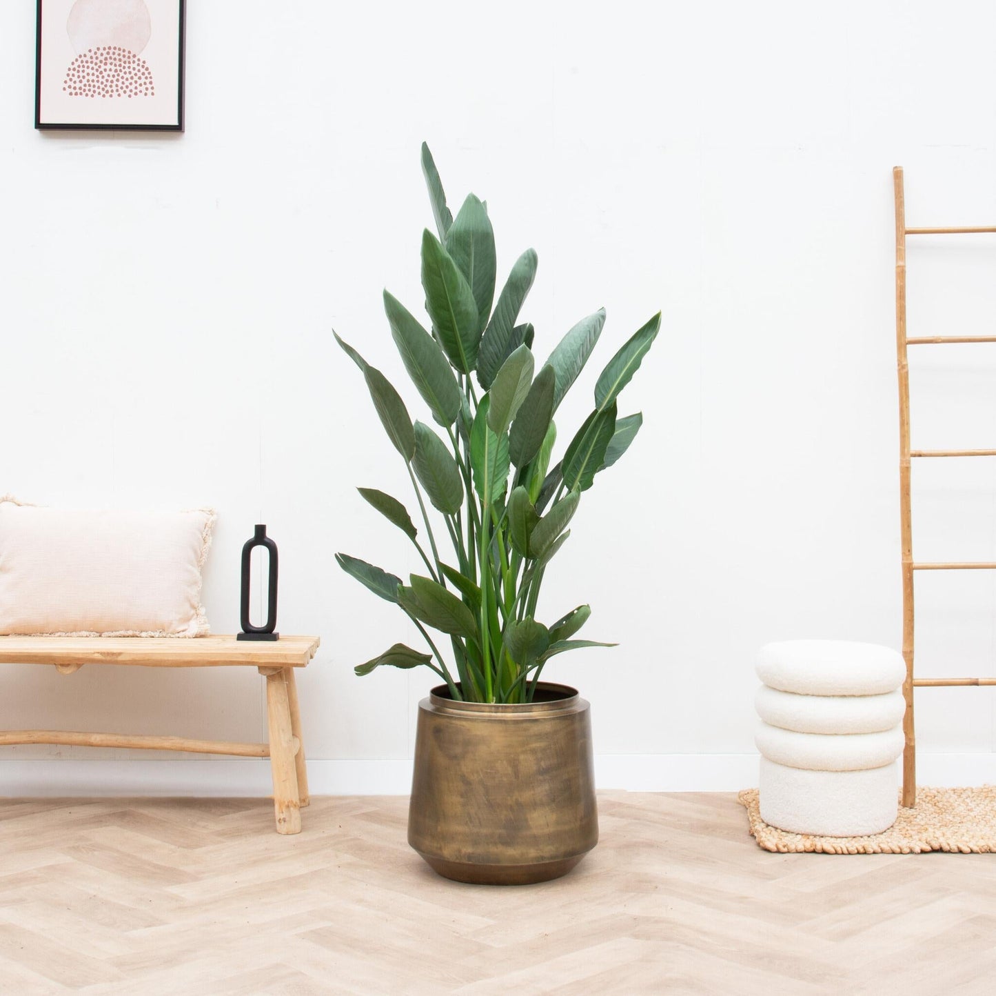 Pot Indigo Vintage Gold - D46 x H41 - Forestbloom