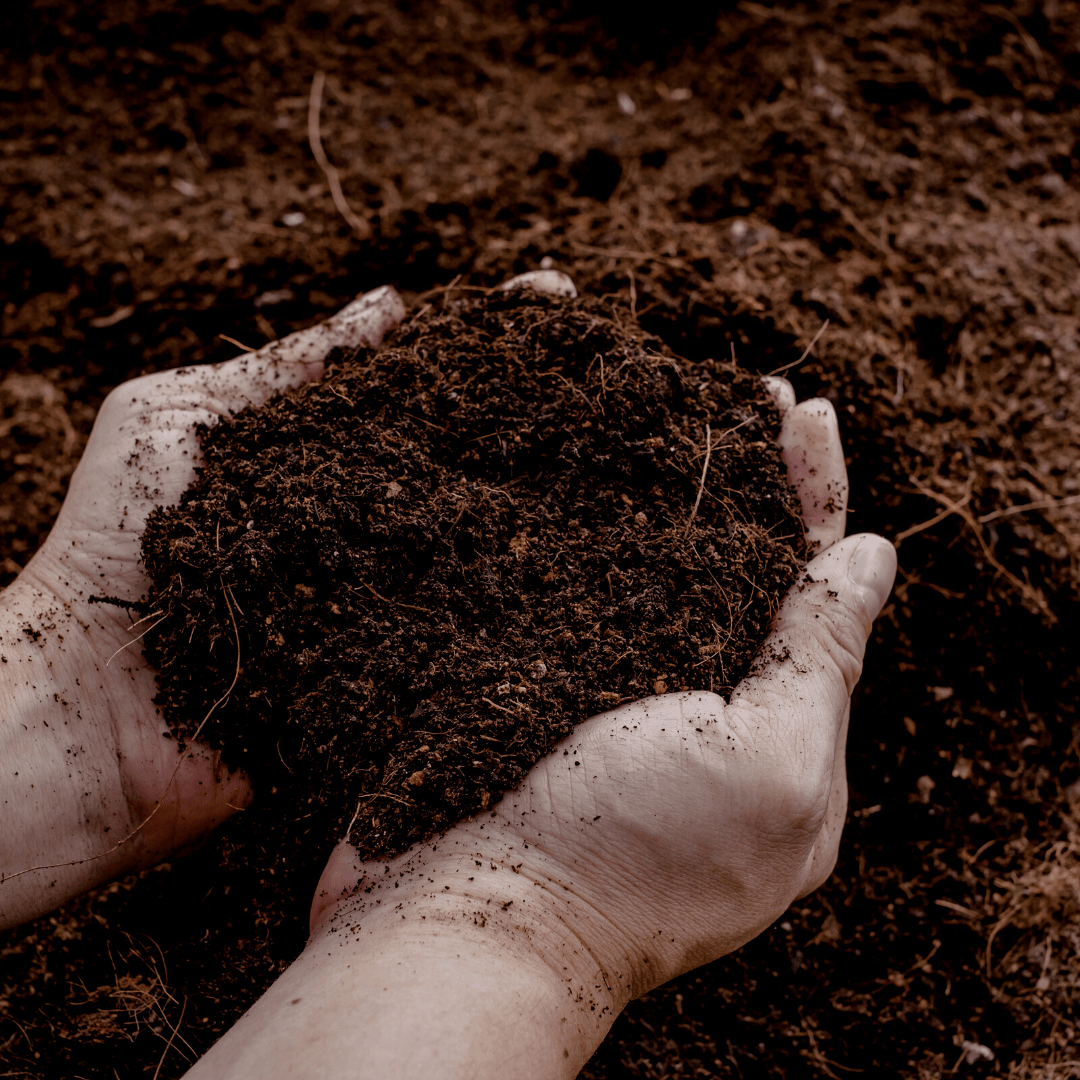 Potgrond Universeel 30 Liter – Voor Binnen- en Buitenplanten - Forestbloom