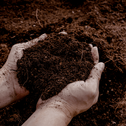 Potgrond Universeel 30 Liter – Voor Binnen- en Buitenplanten - Forestbloom