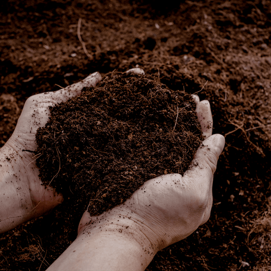 Potgrond Universeel 30 Liter – Voor Binnen- en Buitenplanten - Forestbloom