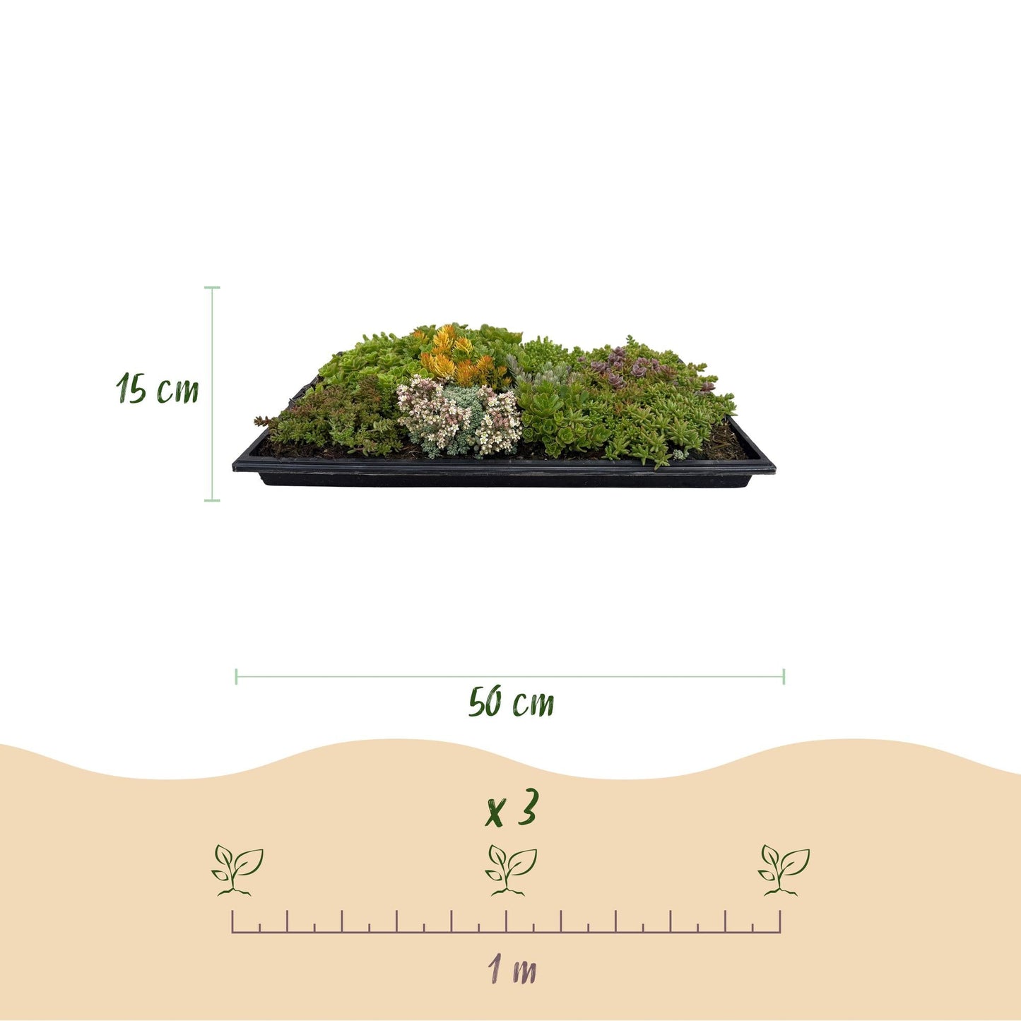 Sedum mat - Bestaat uit 10 soorten - 2 Matten - Winterhard - Forestbloom