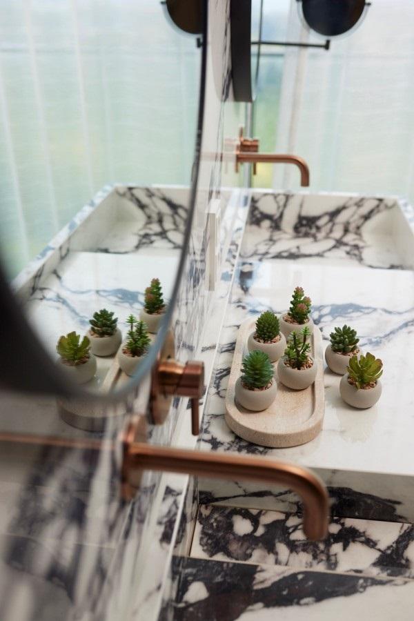 Succulenten set van 6 met pot - Forestbloom
