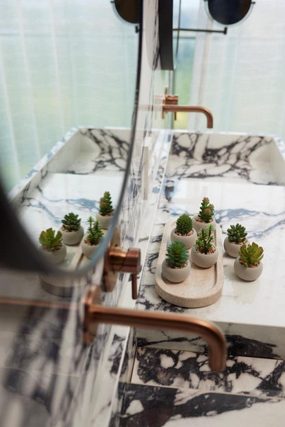 Succulenten set van 6 met pot - Forestbloom