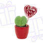 Sweetheart planten Set met rode pot - Forestbloom