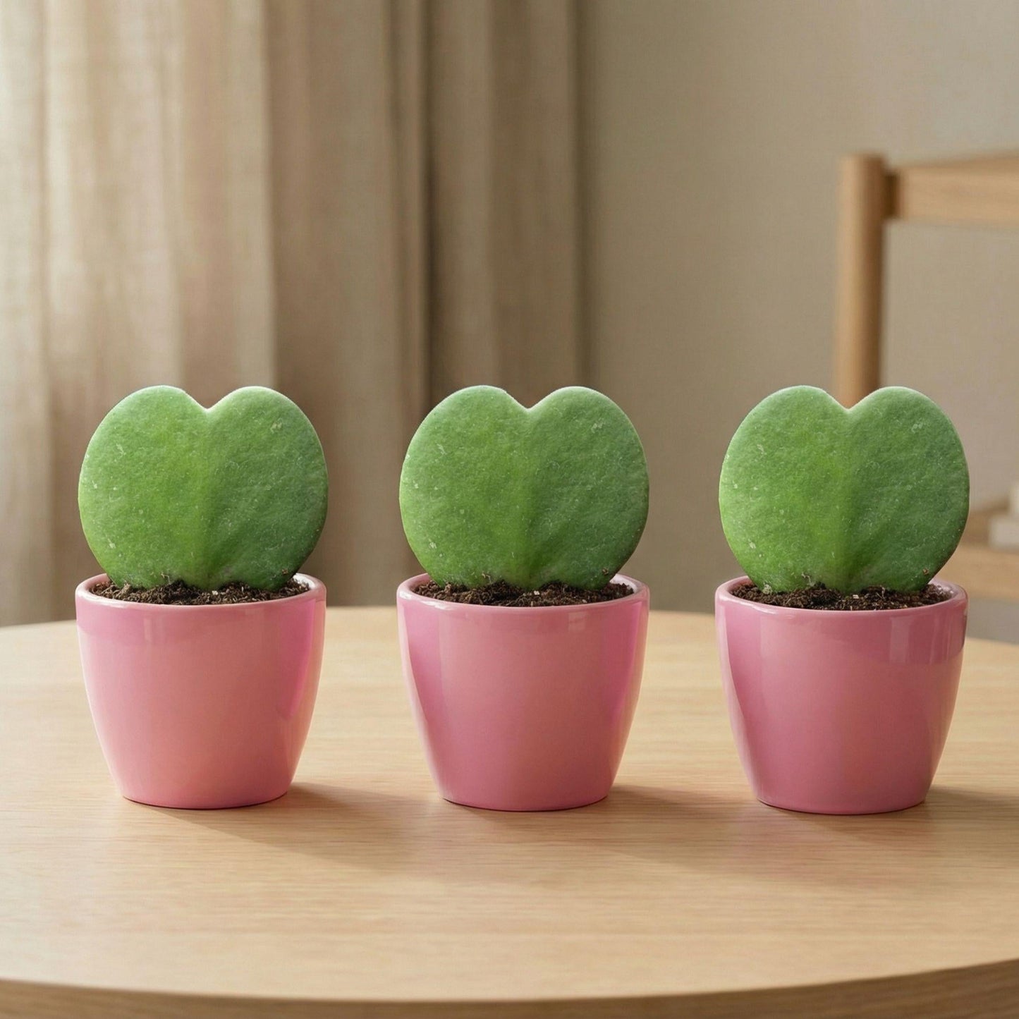 Sweetheart planten Set met roze pot - Forestbloom