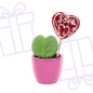 Sweetheart planten Set met roze pot - Forestbloom