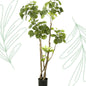 Kunstplant - Polyscias - Aralia - 135 cm - Forest Plants