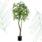 Kunstplant - Pachira Aquatica - Geldboom - 180 cm - Forest Plants