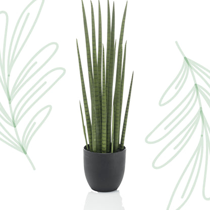Kunstplant - Sanseveria Cylindrica - Vrouwentong - 70 cm - Forest Plants