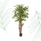 Kunstplant - Ficus liana  - Vioolbladplant - 170 cm - Forest Plants