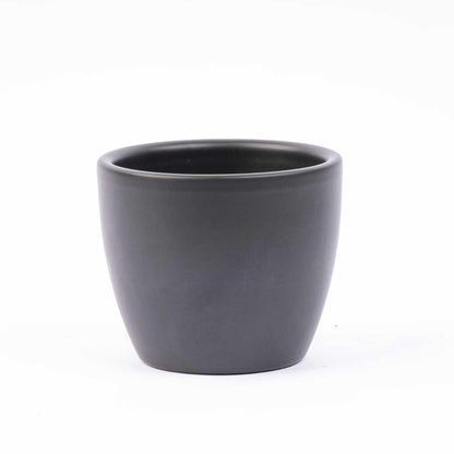 Mini plant set of 6 with pot set Boule Anthracite