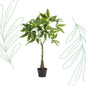 Kunstplant - Pachira aquatica - Geldboom - 90 cm - Forest Plants