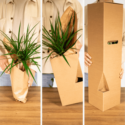 Verrassingsbox set van 5