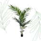 Kunstplant - Kentiapalm - 150 cm - Forest Plants