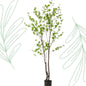 Kunstplant - Tropaeolum Speciosum - Oost Indische Kers - 210 cm - Forest Plants