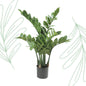 Kunstplant - Zamioculcas - Kamerpalm - 70 cm - Forest Plants