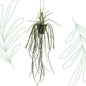 Kunstplant - Rhypsalis - Koraalcactus - 85 cm - Forest Plants