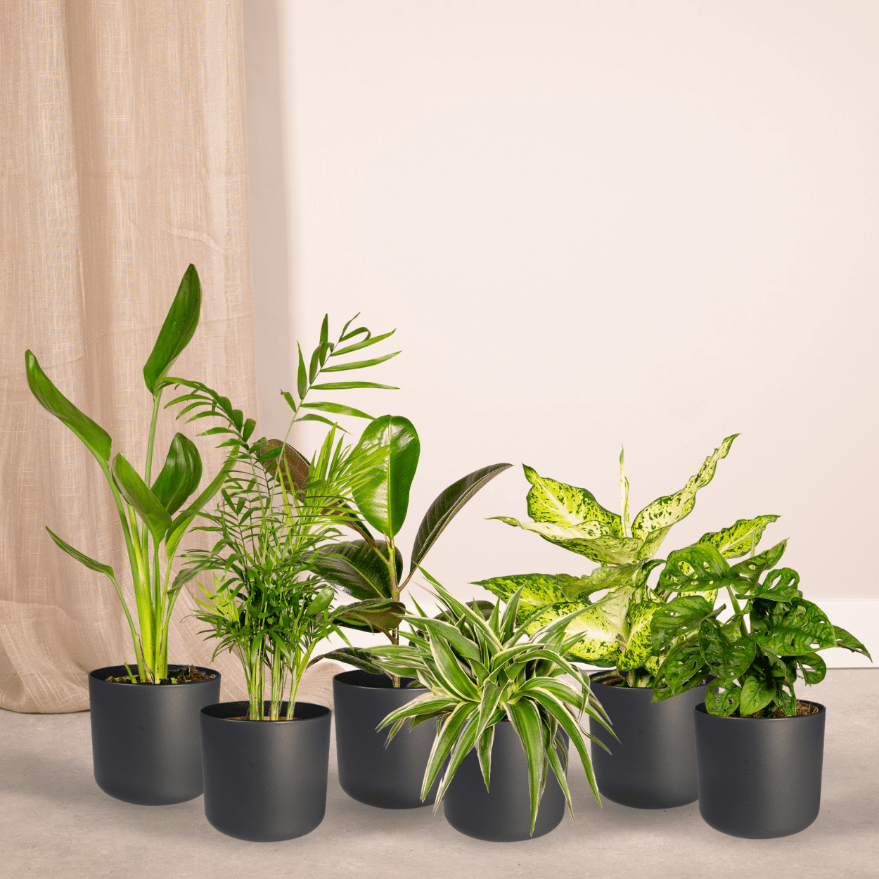Verrassingsbox set van 10 - Forestbloom