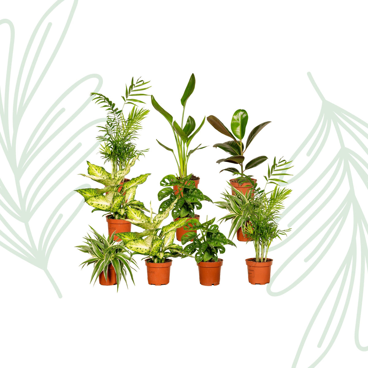 Verrassingsbox set van 10 - Forestbloom