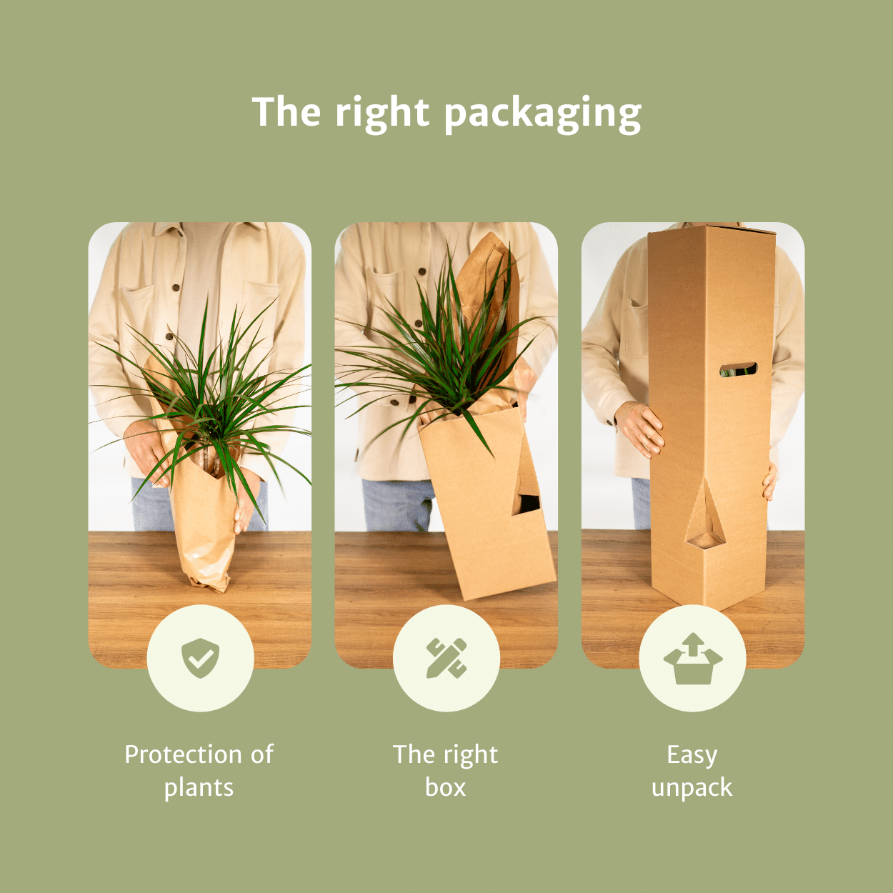 Verrassingsbox set van 10 - Forestbloom