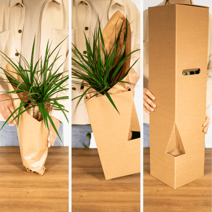 Verrassingsbox set van 5 - Forestbloom