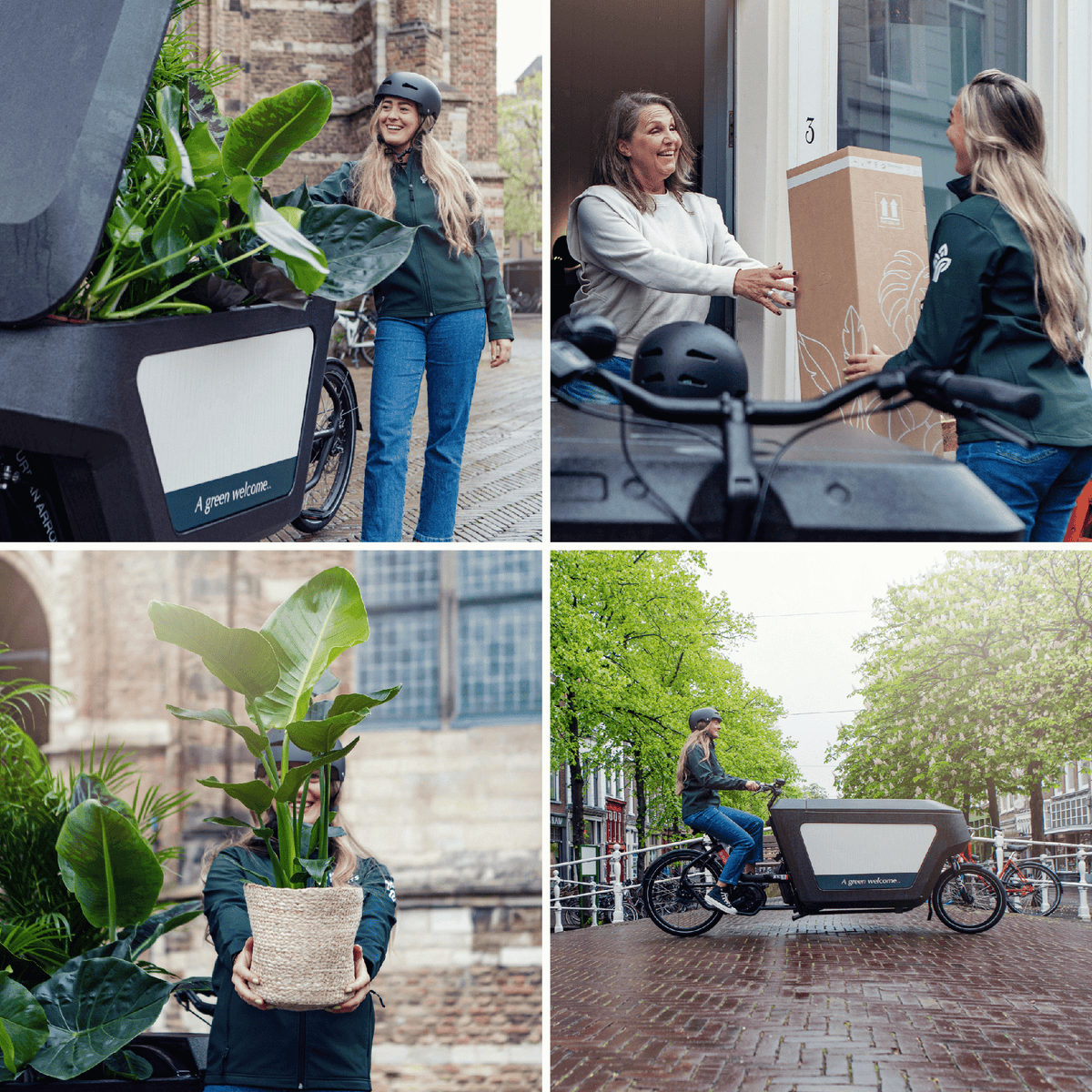 Verrassingsbox set van 5 - Forestbloom