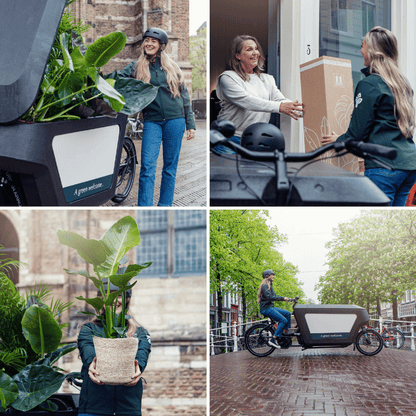Verrassingsbox set van 5 - Forestbloom