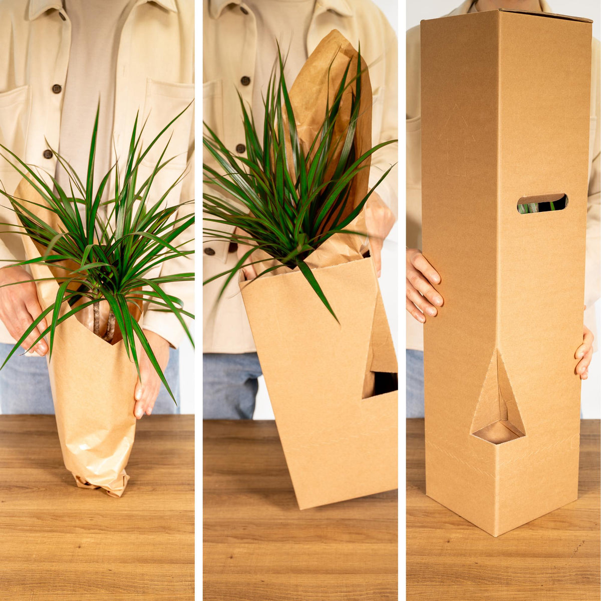 Verrassingsbox set van 8 - Forestbloom