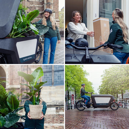 Verrassingsbox set van 8 - Forestbloom