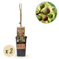 Vijgenboom - Ficus caria Little mis Figgy - Rode Vrucht - 2 planten - Forestbloom