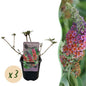 Vlinderstruik - Buddleja davidii Flower Power - 3 Planten - Forestbloom
